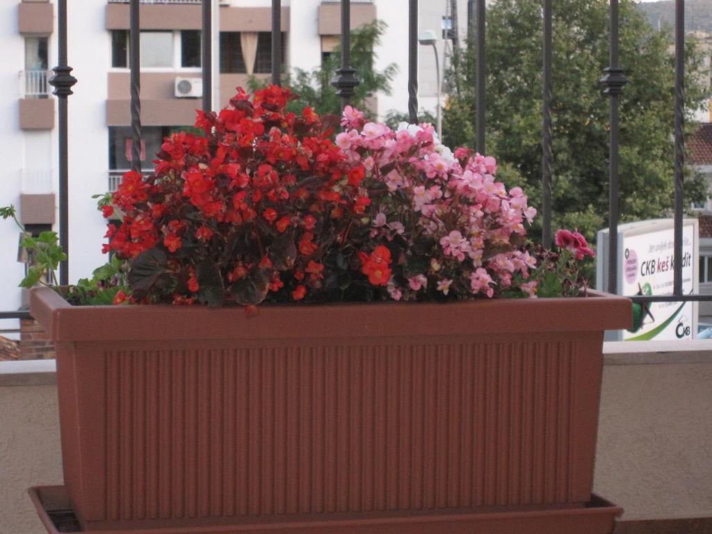 Apartments City Center Tivat Bagian luar foto