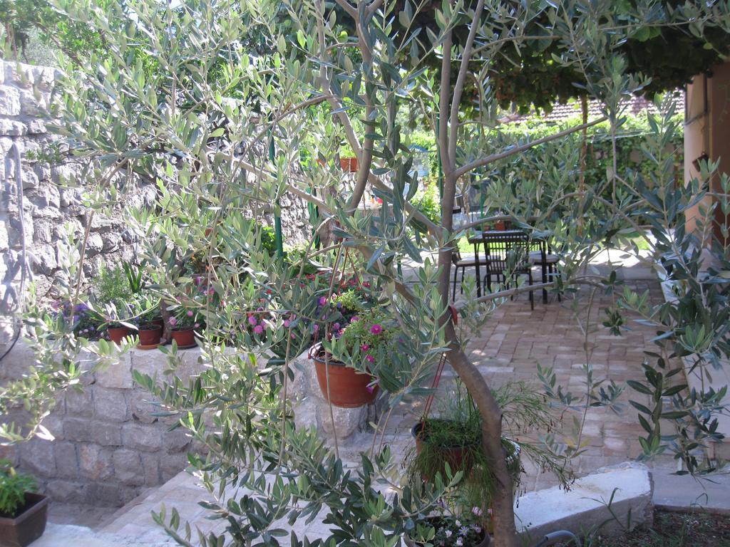Apartments City Center Tivat Bagian luar foto